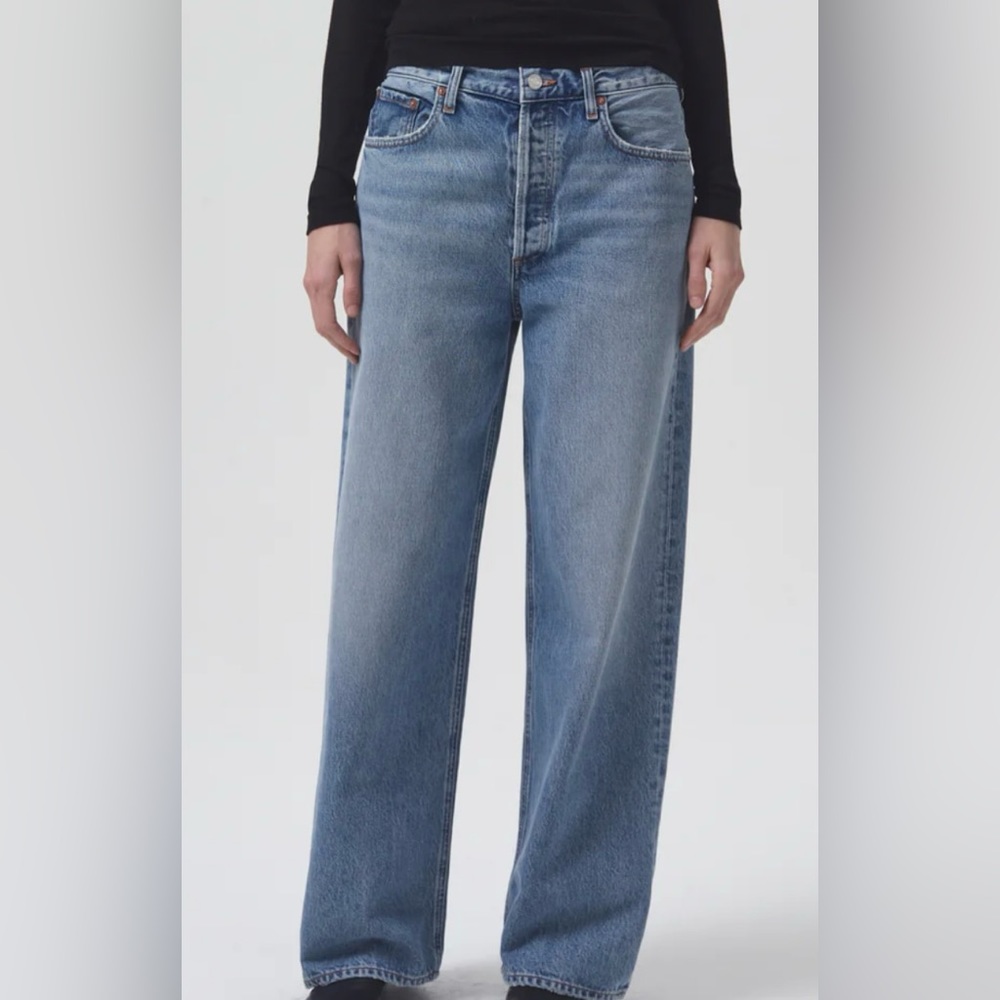 AGOLDE Low Slung Baggy Wide Leg in Libertine Size 26